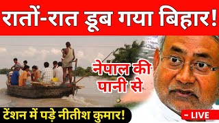 Live  Nepal में बारिश BIHAR में बाढ़ का खतरा बढ़ा डेंजर लेवल पार कर चुकी है गंडक  Flood BIHAR [upl. by Haslam]