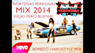 NORTEÑAS MAS PERRONAS MIX 2014 DJ GUERO MIX [upl. by Etterrag]