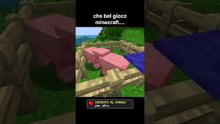 Bellissimo gioco minecraft minecraftshorts minecraftmemes shorts gaming [upl. by Cynarra16]