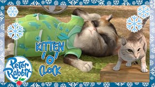 OfficialPeterRabbit  🎅😻 Santa Paws Cat Collection 🎅😻  20 Mins  Cartoons for Kids [upl. by Newton]