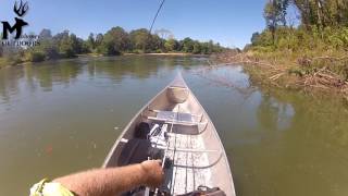 Gasconade River Largemouth [upl. by Gaby]