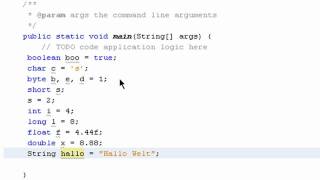 Datentypen  Java 1004 [upl. by Otrebogir89]