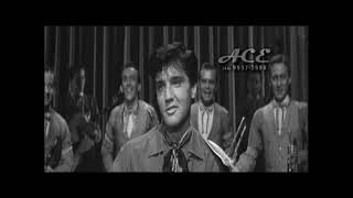 Elvis Presley  Hard Headed Woman [upl. by Bonns]