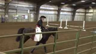 The Canadian Horse Le Cheval Canadien Breed Demo Northwest Horse Fair amp Expo 2013 [upl. by Anitrak]