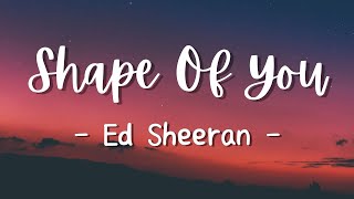 Shape Of You  Ed Sheeran Lyrics [upl. by Ennahs]