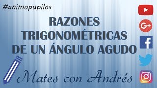 Trigonometría  Razones trigonométricas de un ángulo agudo [upl. by Zoha]