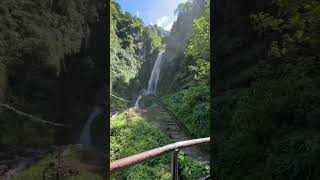 Lamjunge dadaima jharna salala 😊♥️🥰goviral nature travel forshort youtubeshorts [upl. by Leanatan]