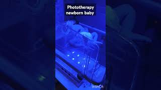 Newborn baby cute cutebaby shortsvideo viralshorts atharva siblings [upl. by Ymme]