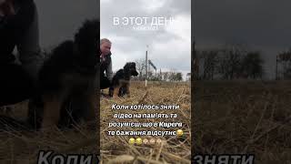 Щоб зняти повне відео завжди було купа експромтів 😆😆😆 [upl. by Antoinetta]