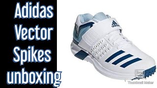 Adidas Cricket Spikes Shoes Unboxing 2024 [upl. by Ynattyrb]