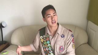 The 3 Easiest Merit Badges You Can Earn From Home TODAY [upl. by Irod]