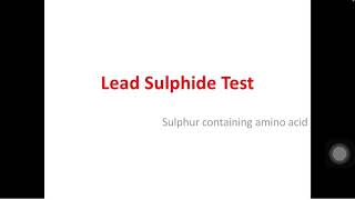 Lead Sulphide Test For Proteins Biochemistry Practical 1st year MBBSBDS [upl. by Atilal750]