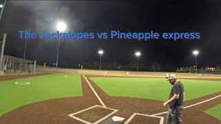 The Jackalopes vs Pineapple express 111424 [upl. by Akinor]