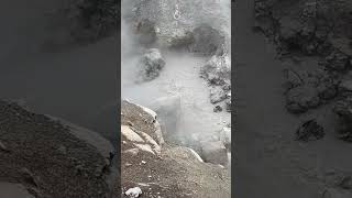 A few geysers at Yellowstone national park nature nationalpark travel steamboatgeyser [upl. by Lady34]