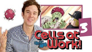 Real DOCTOR reacts to CELLS AT WORK  Episode 3  quotInfluenzaquot [upl. by Ramoh]