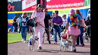 Bark in the Park at the Portland Sea Dogs [upl. by Swiercz]