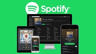 Das Große Spotify Tutorial Alles was du wissen musst [upl. by Imena]