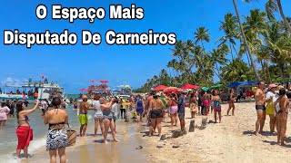 Praia Dos Carneiros Pernambuco Informações Importantes Outubro 2023 [upl. by Garihc]