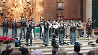 EdcouchElsa Mariachi at San Juan Church [upl. by Boehmer]