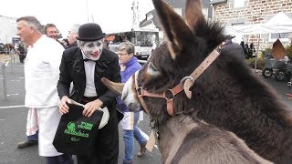 Foire aux poulains Plaintel 2017 [upl. by Tinor]