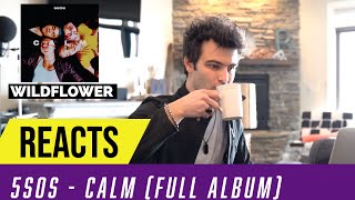 Producer Reacts to ENTIRE 5SOS Album  CALM [upl. by Rudelson]