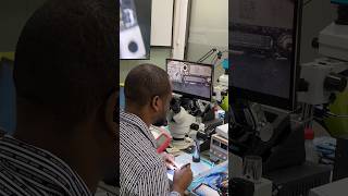 REWA Academy iPhone repair on site training course sharing shorts [upl. by Regnig627]