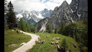 Droneing Triglav National Park Slovenia [upl. by Akenna]