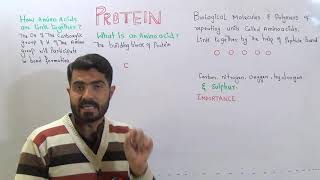 Protein Amino acids Lec7 Ch2 Peptide Bond Importance of Protein C in Urdu Hindi By Dr AHadi [upl. by Howarth]