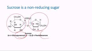 Nonreducing Sugars [upl. by Madlin]