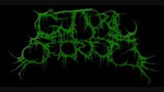 Guttural Secrete  Torturous Impregnation [upl. by Alaunnoif]