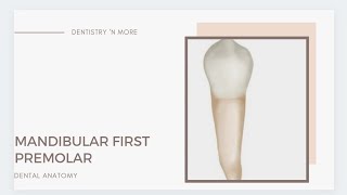 MANDIBULAR FIRST PREMOLAR [upl. by Ailaham]