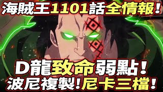 海賊王1101話全情報：D龍“致命”弱點！波尼複製！“尼卡”三檔！ [upl. by Renny454]