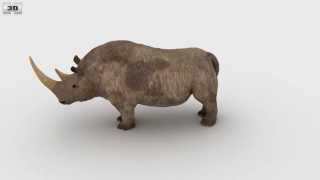 Woolly Rhinoceros Low Poly 3D model by 3DModelsorg [upl. by Rivers472]