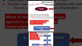 Which of the following cholinergic agonists is used to treat acute closedangle glaucoma [upl. by Enitsed]