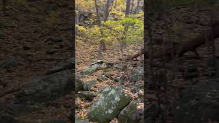 Hiking Doyles River Falls Trailhead  Shenandoah national park [upl. by Esenwahs]