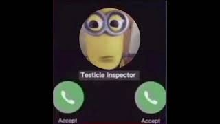 Inspestor de testiculo ligando  testicle inspector calling [upl. by Ayekim236]