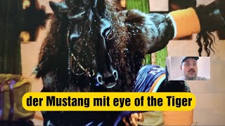 The Masked Singer 2023 mit eye of Tiger themaskedsinger [upl. by Eramal]