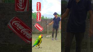 Rounding CocaCola to Duck Peacock Pigeon amp Parrot  Birds names magic video [upl. by Hgielsa]