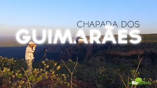 CHAPADA DOS GUIMARAES with Biodiverse Brazil Tours [upl. by Nagey]