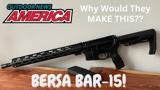 Bersas New AR15 WHY DID THEY MAKE THIS [upl. by Kare]