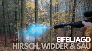 Hirsch Widder und Sau I Jagd in der Eifel 2022 [upl. by Libove776]