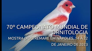 Vai começar o 70° Campeonato Mundial de Ornitologia em Napoles na Itália [upl. by Adiaroz]