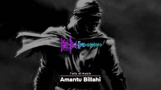 Нашид  Amantu Billahi  Talib alHabib [upl. by Monda]