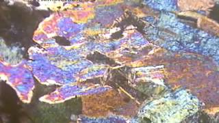 Muscovite thin section under microscope [upl. by Ahsihat]