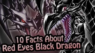 10 Facts About The Red Eyes Black Dragon You Absolutely Must Know YuGiOh [upl. by Sanbo]