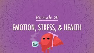 Emotion Stress and Health Crash Course Psychology 26 [upl. by Duffie654]