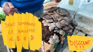 Tutorial Coltivare i funghi in casa DOVE COMPRARE LE BALLETTE Al discount FunghidiSardegna [upl. by Llenrahs]