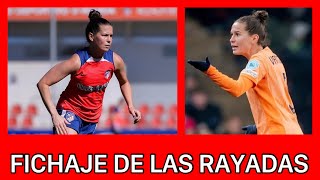 🚨💣BOMBAZO Merel Van Dongen LLEGARÍA A LAS RAYADAS DE MONTERREY Fichajes y Rumores Liga MX Femenil [upl. by Haynes]