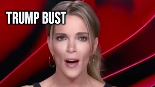 Megyn Kelly Makes A Fool Of Herself Over Trumps Conviction On Live TV [upl. by Assened]