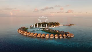 Milaidhoo Maldives [upl. by Haramat]